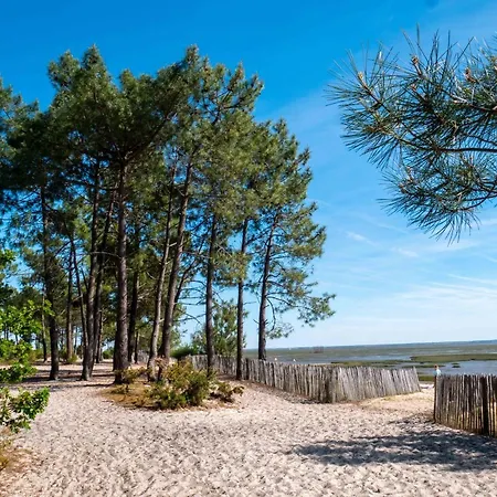 Kemp Chalet Bois - Camping La Cigale Ares