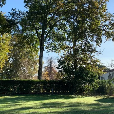 Campsite Chalet Bois - Camping La Cigale Ares