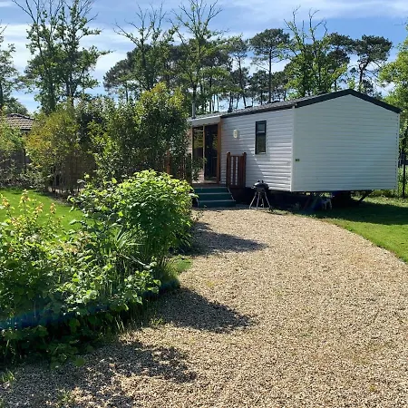 Campsite Chalet Bois - Camping La Cigale