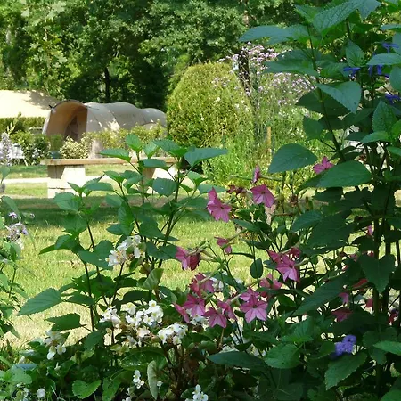 Chalet Bois - Camping La Cigale Campsite 4*