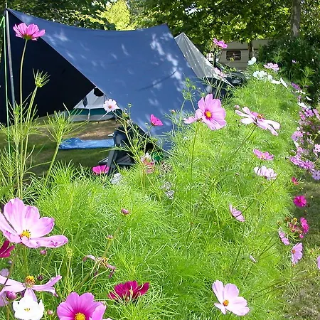 Chalet Bois - Camping La Cigale Campsite 4*