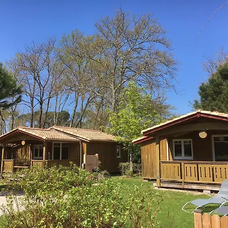 Campsite Chalet Bois - Camping La Cigale